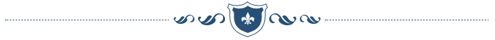 Decorative RPG-style divider with fleur-de-lis shield