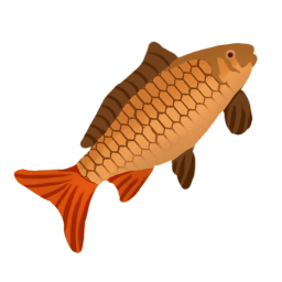 Cooked carp