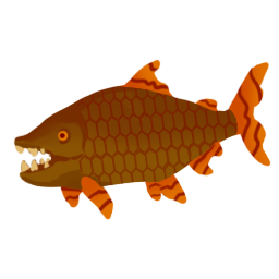 Cooked tigerfish