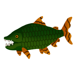 Raw tigerfish